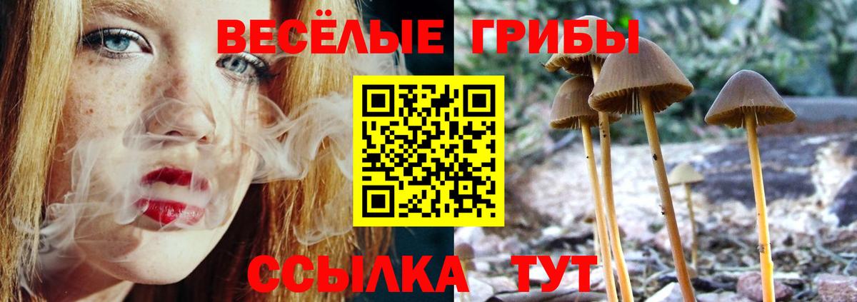 Псилоцибиновые грибы Magic Shrooms  Вход с VPN  Малгобек 