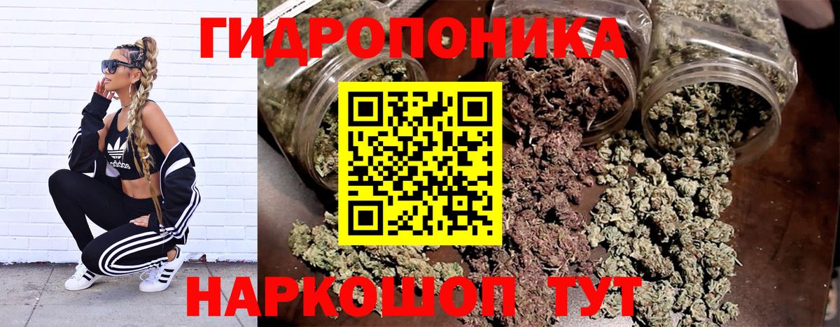 Канабис White Widow  МАРИХУАНА тримм  Вход с VPN  Марихуана план  Малгобек 